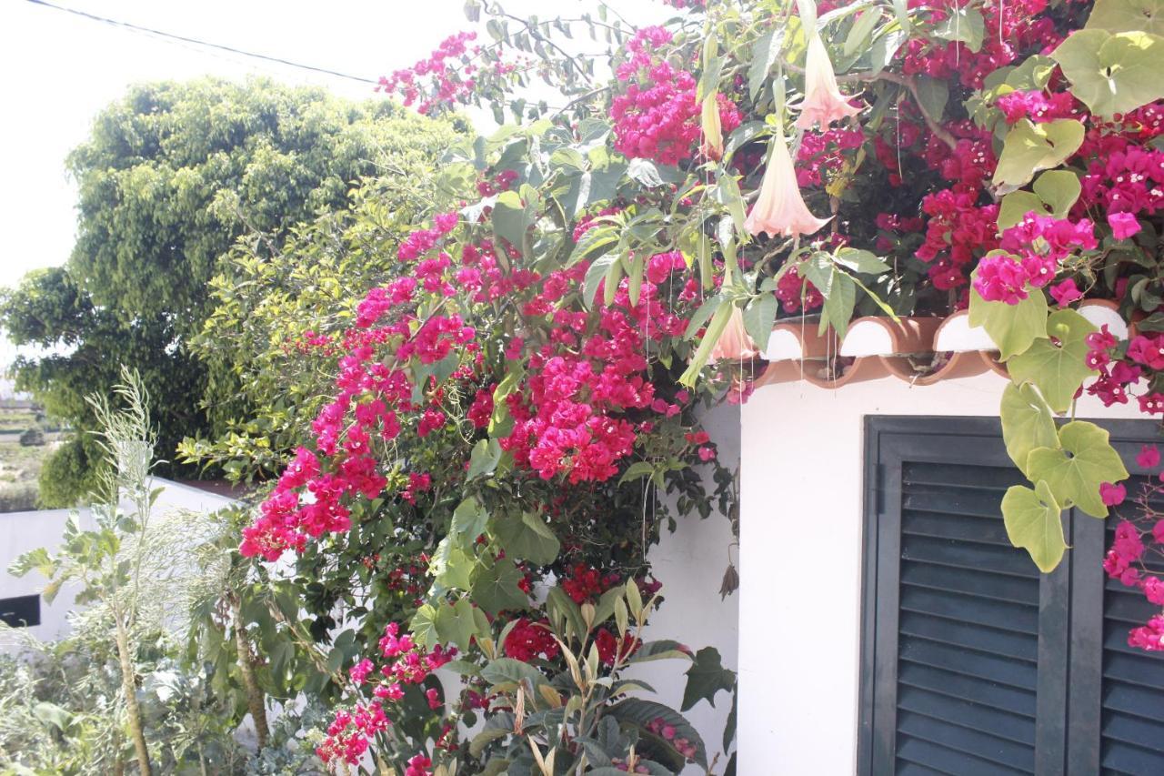 Casinha Da Andorinha - Ericeira Villa Kültér fotó